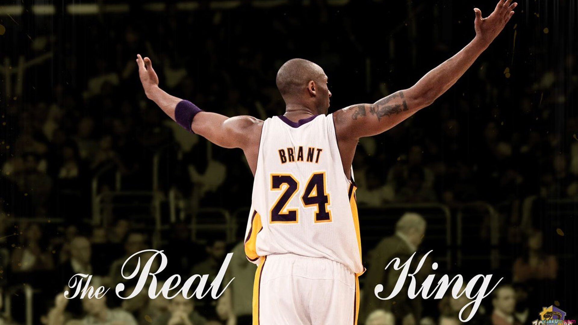 _快船全员奋战，追逐排名第一目标_，快船主要成员